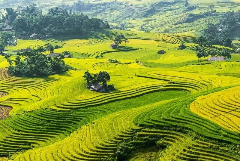 Tận hưởng vẻ đẹp của ảnh thiên nhiên đẹp gần gũi thiên nhiên