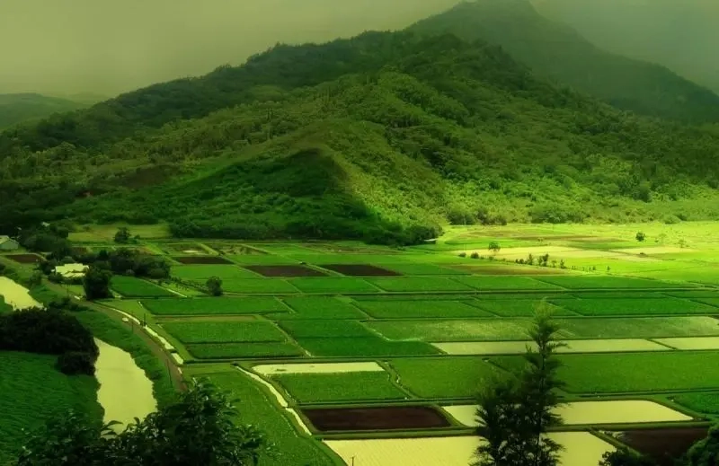 Khám phá chi tiết với phong cảnh thiên nhiên 4k sắc nét
