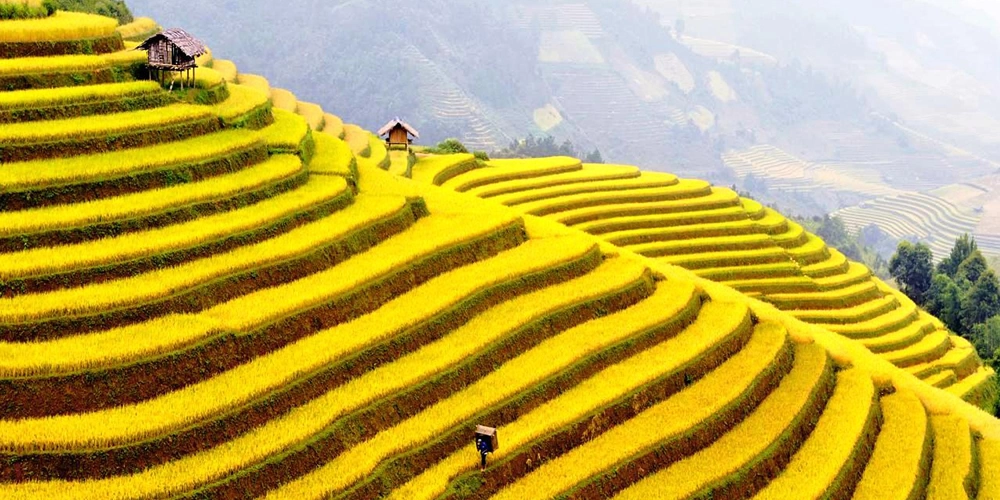 Thư giãn khi ngắm cảnh vùng cao tuyệt đẹp mỗi ngày
