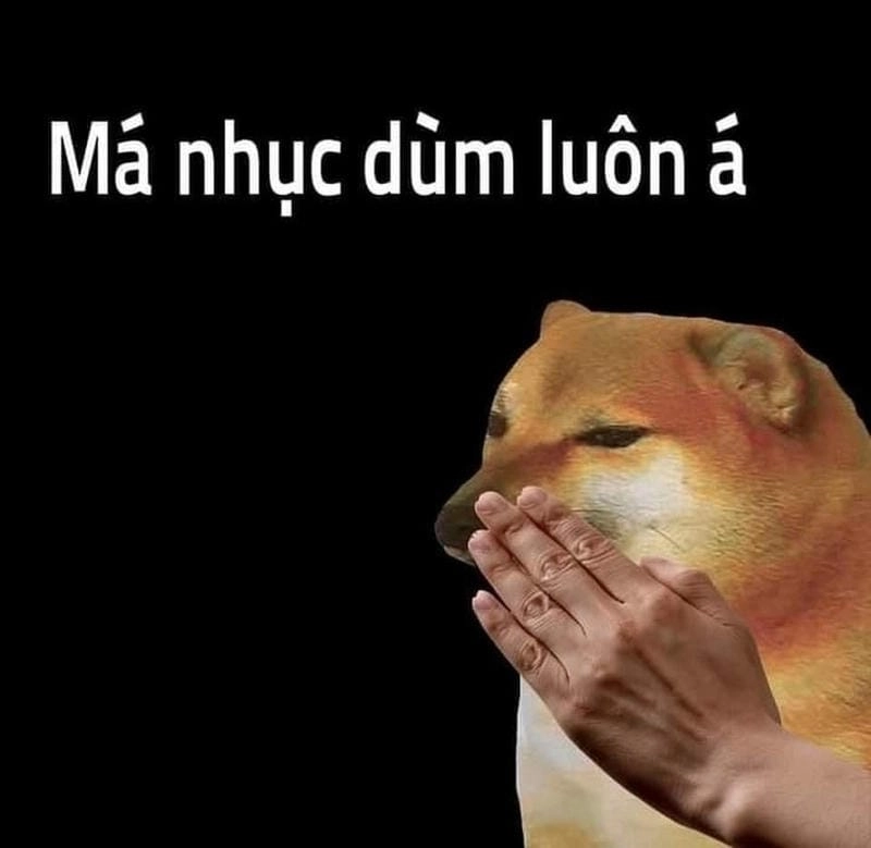Thức dậy cùng những hình quê meme viral