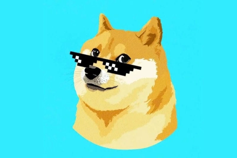 Gợi ý những bức shiba meme cute