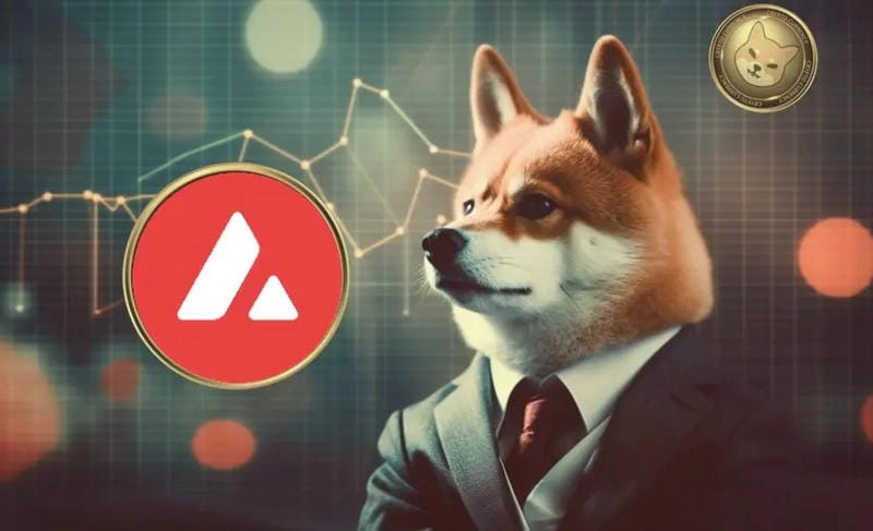 Thức dậy cùng những hình shiba meme dễ thương