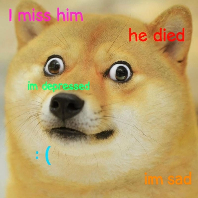 Lạc lối trong shiba meme giải trí