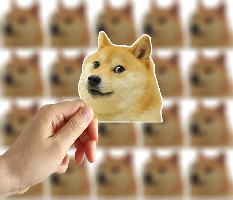 Săn lùng những khoảnh khắc shiba meme troll