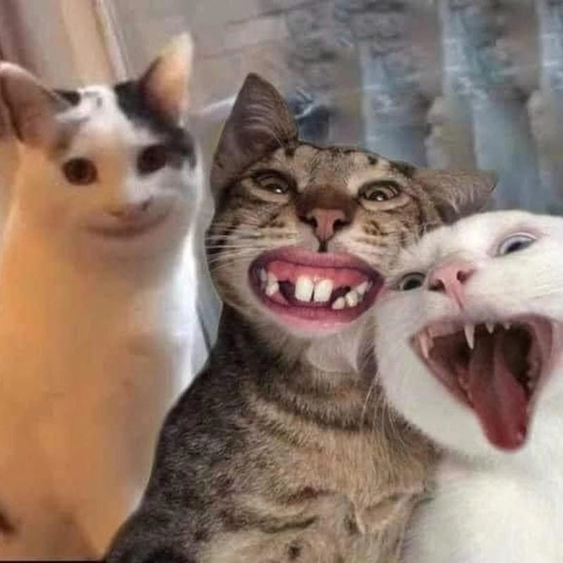 Sưu tầm những bức smile meme trending