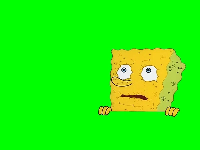 Lạc lối trong spongebob meme giải trí