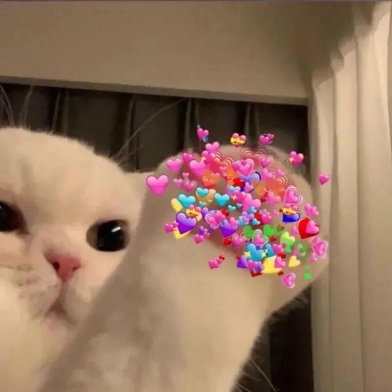 Tìm hiểu sức hút của meme thả tim