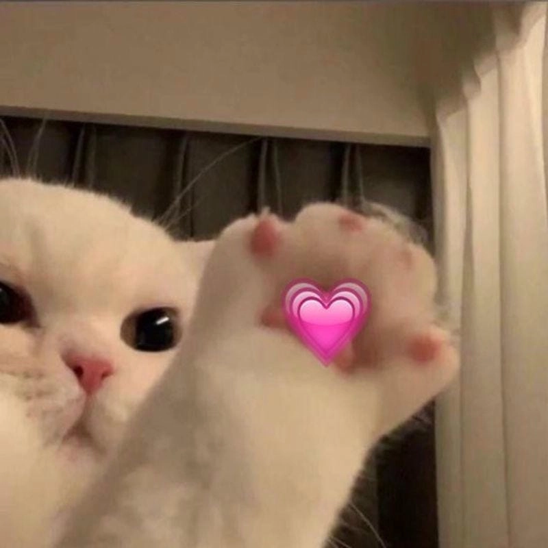 Ngắm nhìn vẻ đẹp meme thả tim biểu cảm