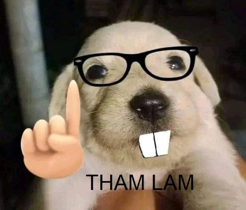 Cùng du ngoạn meme tham lam troll