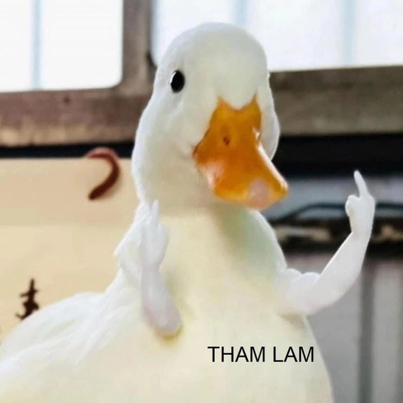 Săn lùng những khoảnh khắc meme tham lam buồn cười