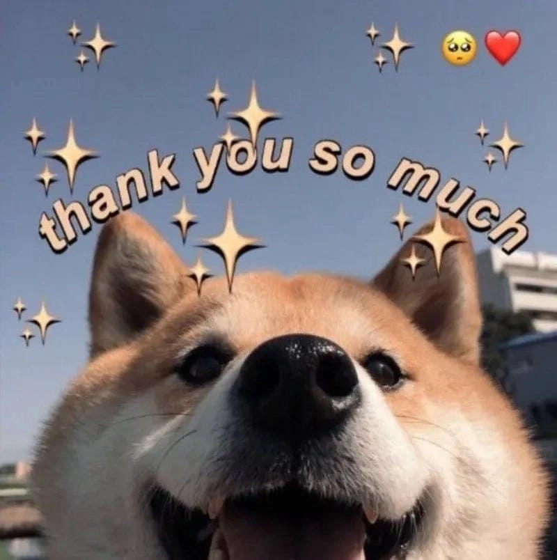 Cười sảng với thank you meme viral