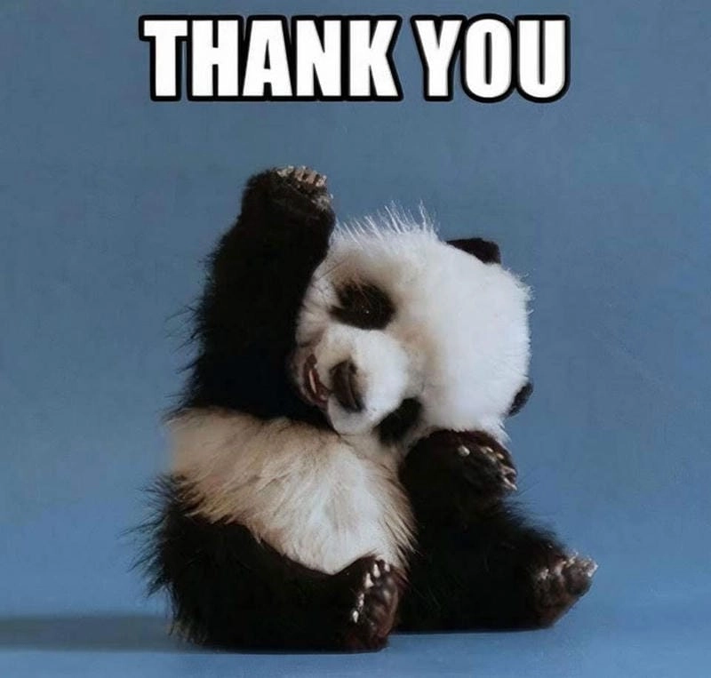 Cùng cười với những hình thank you meme vui nhộn