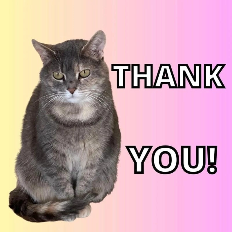 Gợi ý những bức thank you meme troll