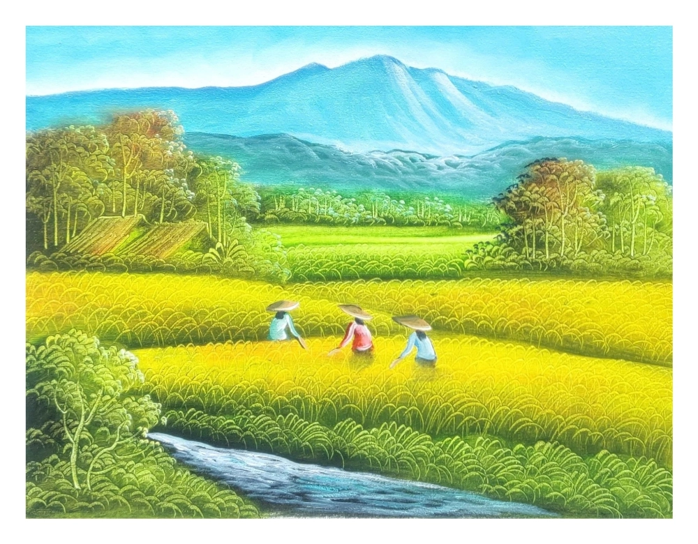 Ngắm tranh đồng lúa chín vàng rực rỡ đầy sức sống