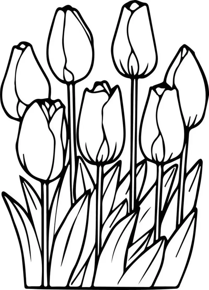 Tranh tô màu hoa tulip dễ thương xinh xắn cho trẻ em yêu thích