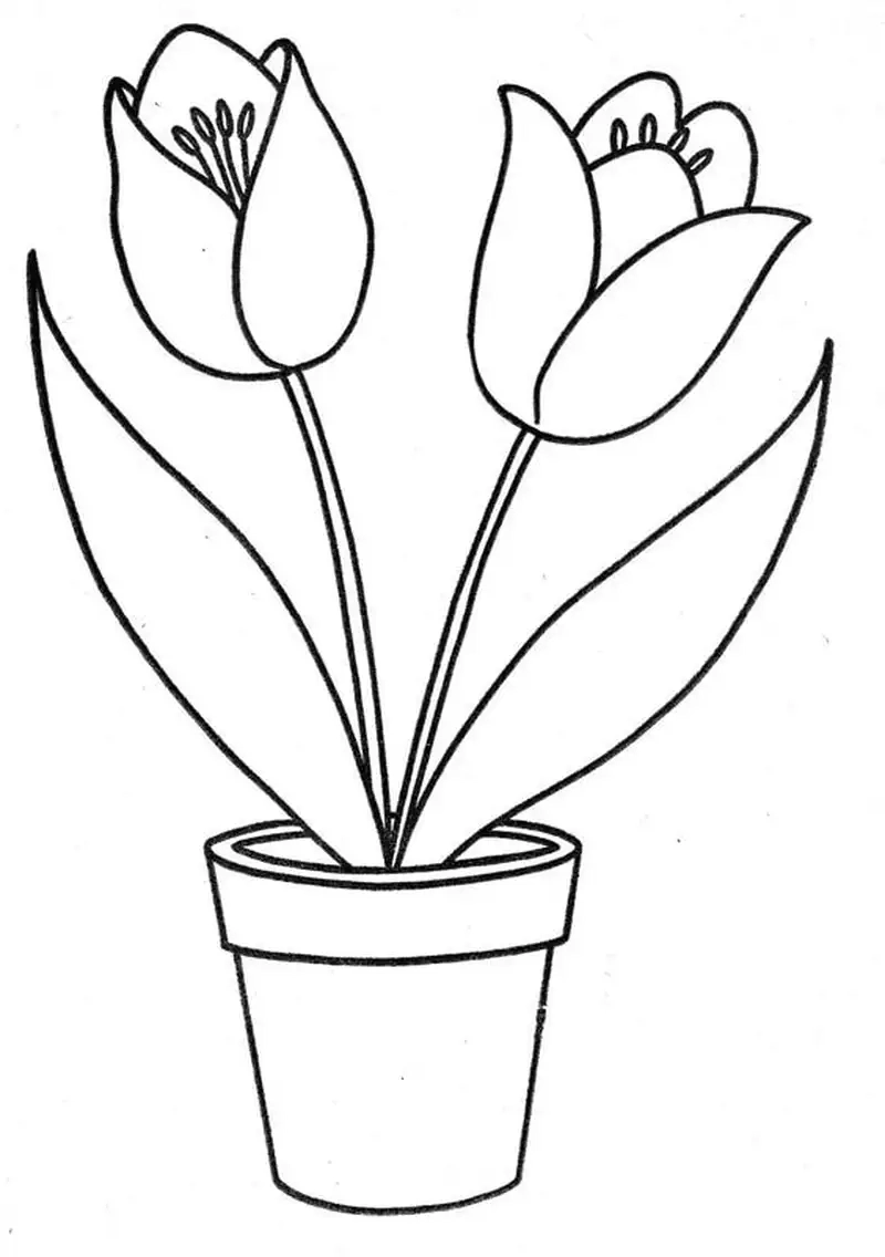 Tranh tô màu hoa tulip cho trẻ em phát triển khả năng sáng tạo