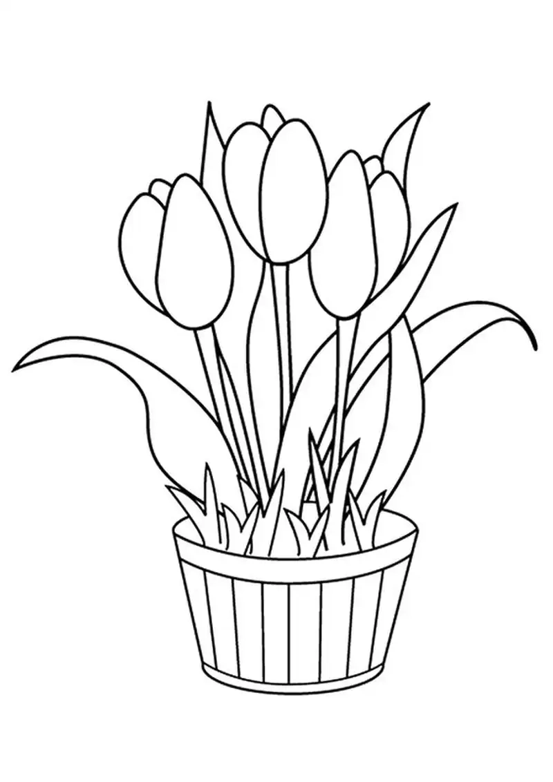 Tranh tô màu hoa tulip cho bé mang niềm vui sáng tạo