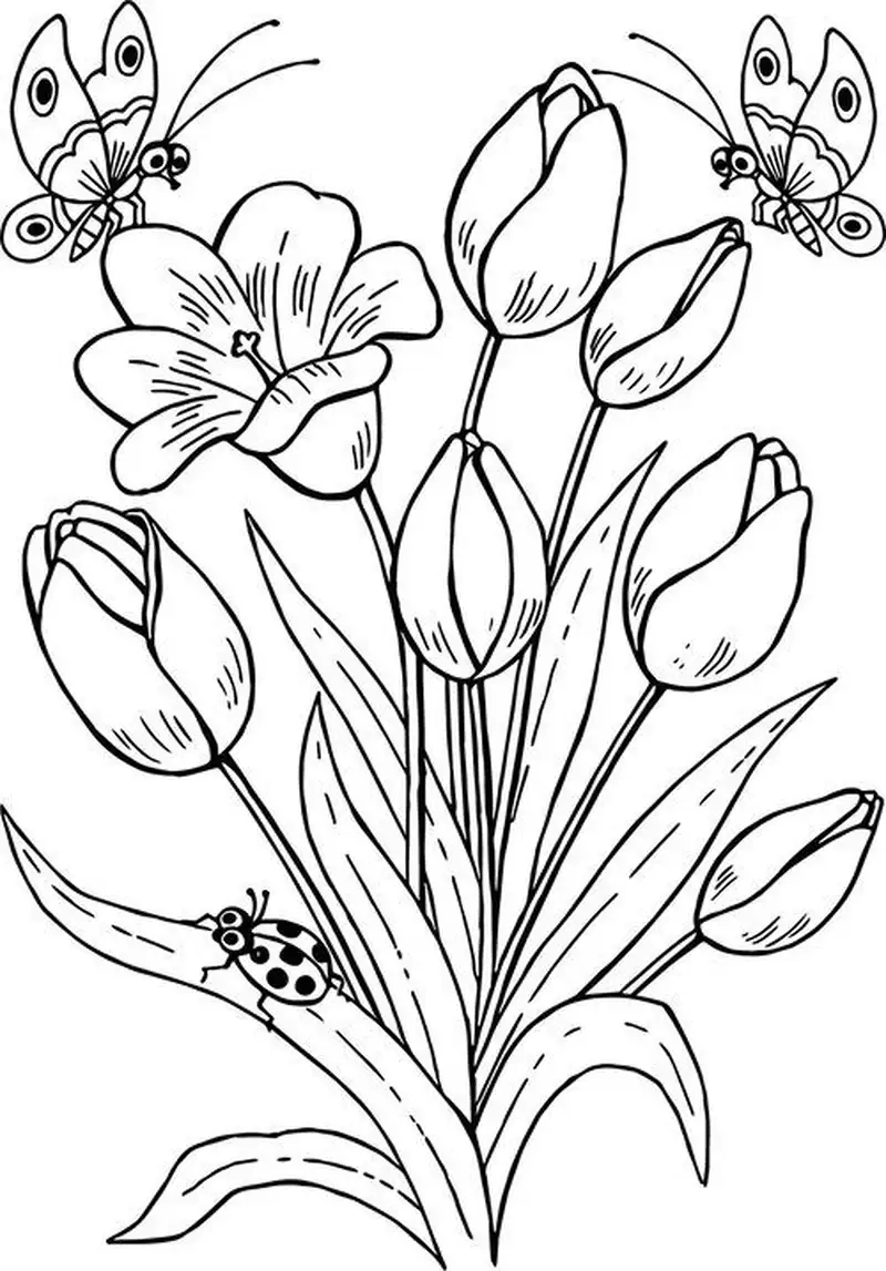 Tranh tô màu hoa tulip cho người mới bắt đầu dễ dàng tập luyện tô màu