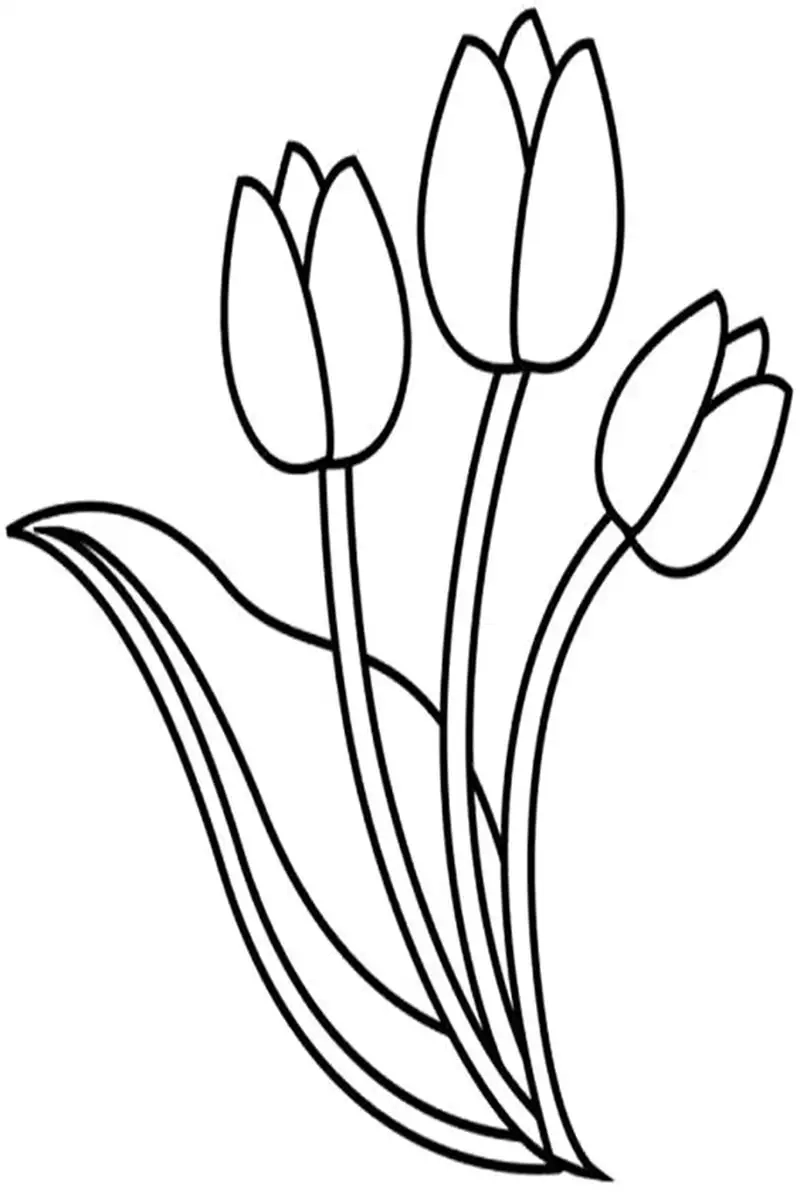 Tranh tô màu hoa tulip cho học sinh làm bài tập thêm sinh động