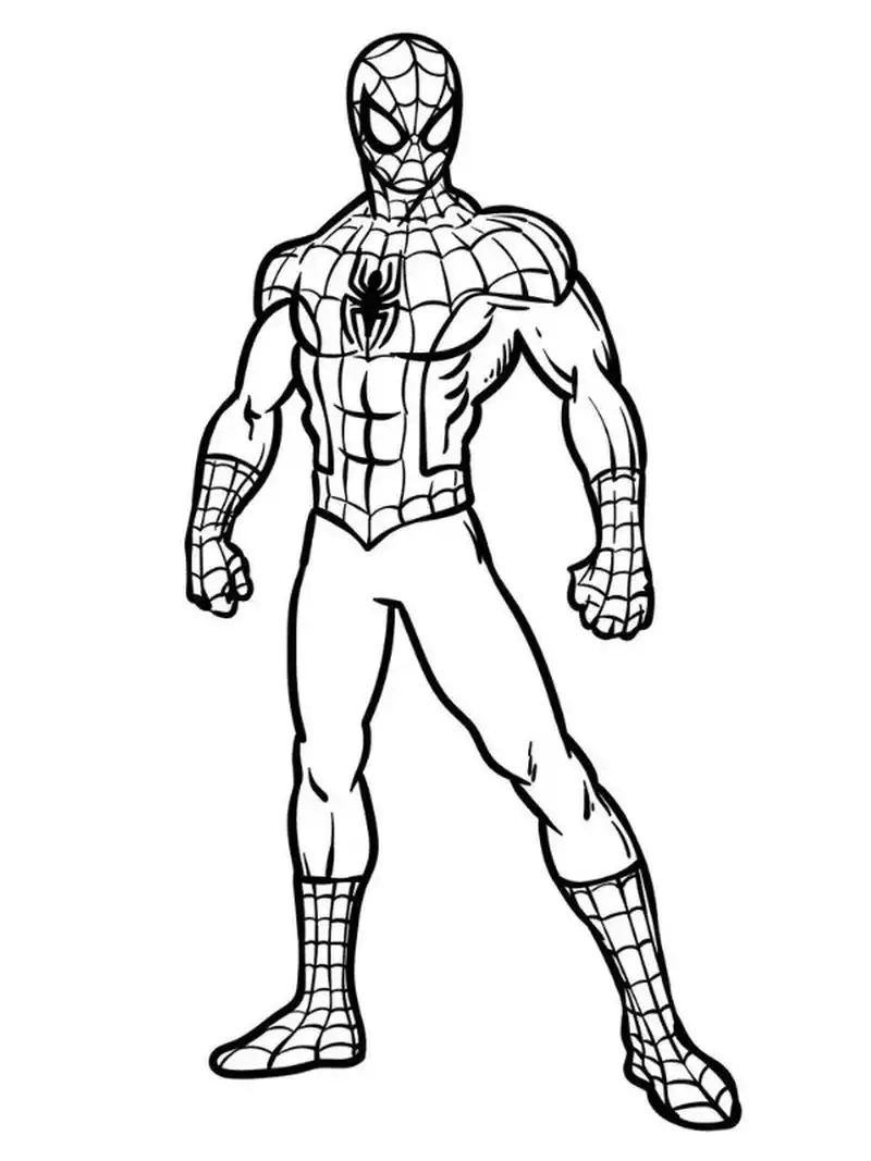 Học tô màu thật vui qua tranh tô màu Spider Man đơn giản