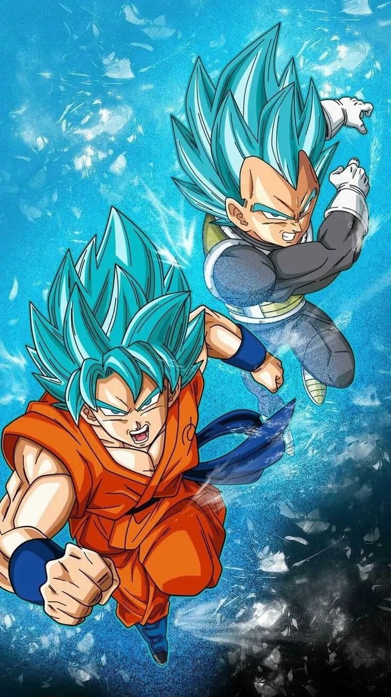 Hình ảnh đồng hành và thách đấu của vegeta và goku