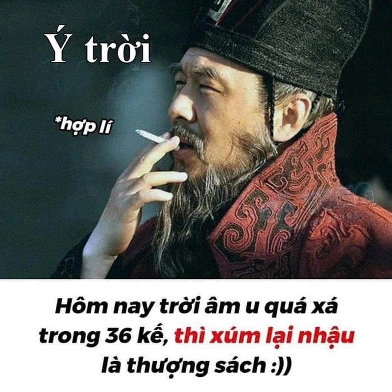Khám phá những bức ảnh ý trời meme hài hước