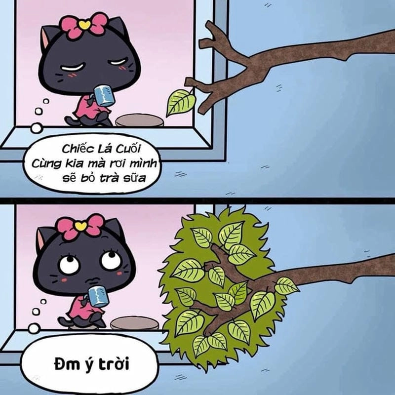 Gợi ý những bức ý trời meme bá đạo