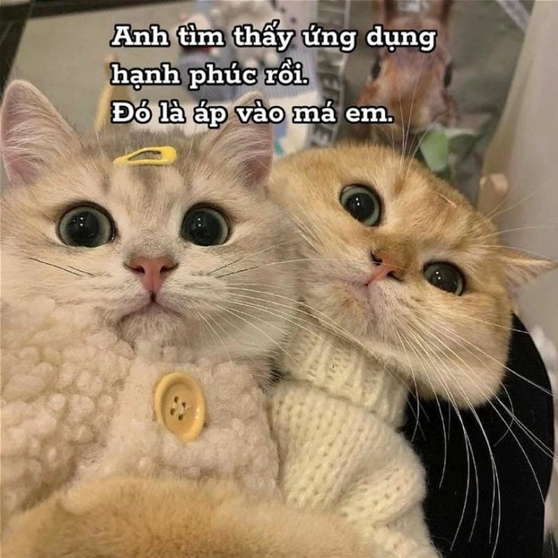 Lạc lối trong yêu meme mới nhất