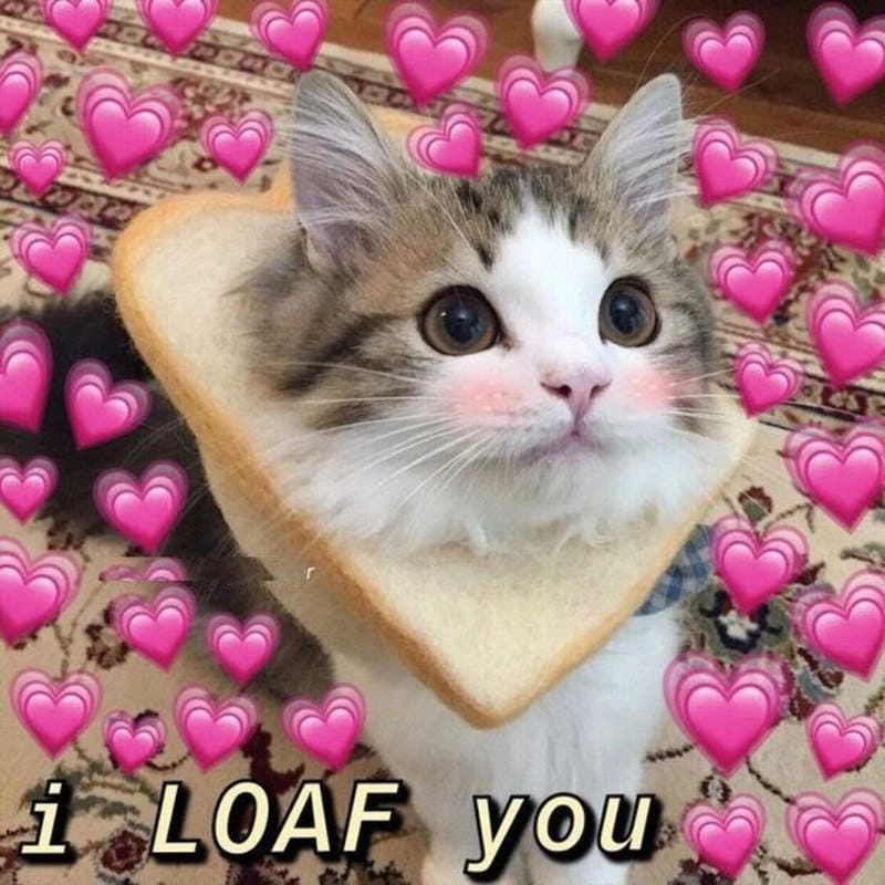 Tìm hiểu Sức hút của meme thả thính