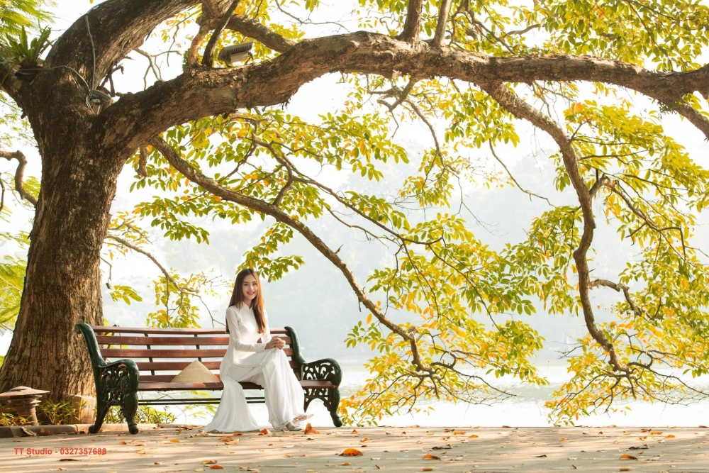 Ảnh phong cảnh mùa thu lá vàng đẹp mê hồn