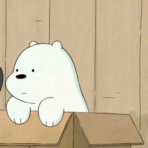 Ảnh con gấu trắng trắng tinh khôi