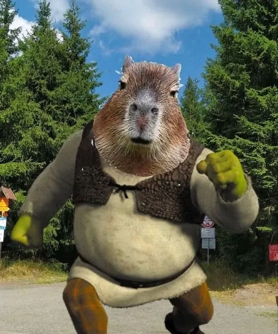 Hình nền capybara meme chill ngố siêu thư giãn