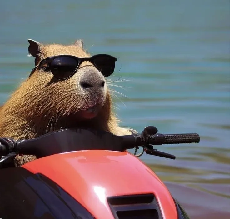 Meme capybara hồng dễ thương hồng phấn bá cháy