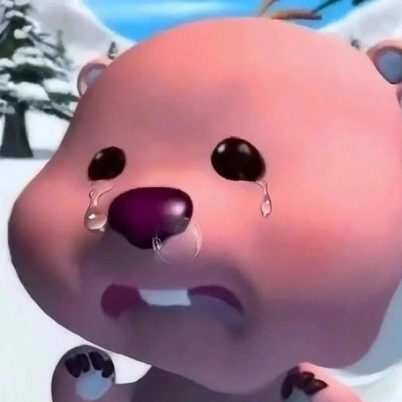 Gấu hồng loopy meme dễ thương hồng phấn troll