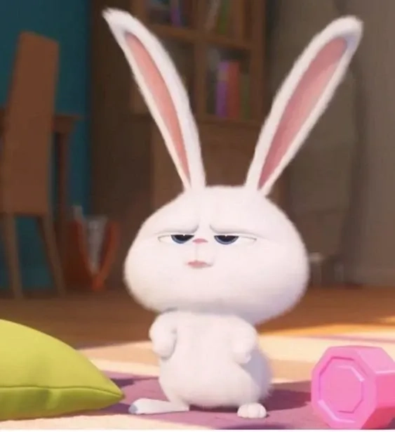 Con thỏ snowball thỏ trắng hoạt hình