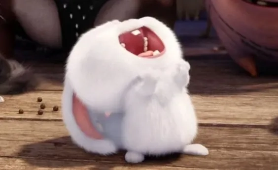 Gấu thỏ snowball kết hợp gấu và thỏ