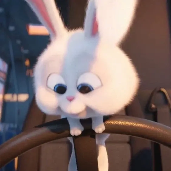 Thỏ snowball meme hài hước viral khắp nơi