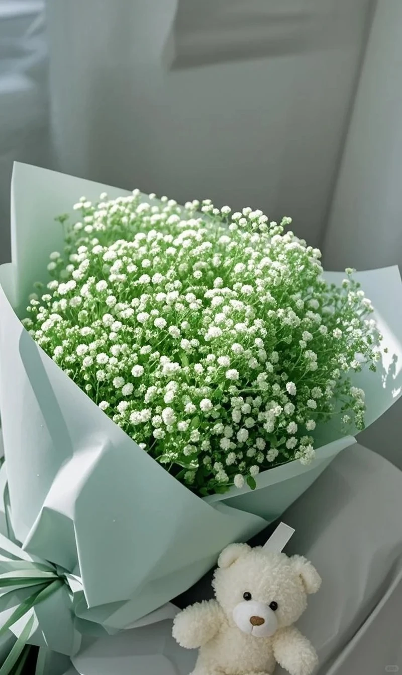 Avatar hoa baby đẹp mang vẻ tinh khôi cho ảnh đại diện