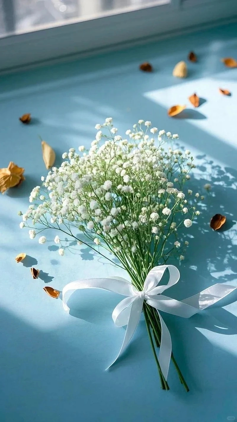 Avatar hoa baby trắng nhẹ nhàng tinh tế cho trang cá nhân