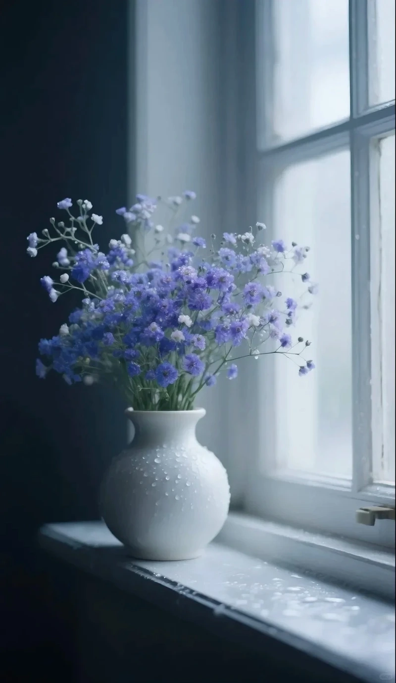 Tâm trạng lắng đọng với avatar hoa baby buồn nhẹ nhàng