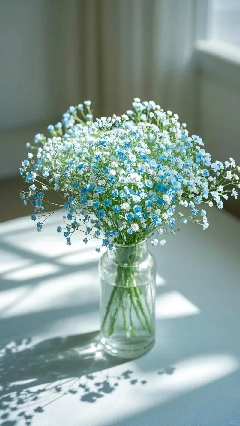 Bộ sưu tập avatar hoa baby nghệ thuật đầy cảm hứng