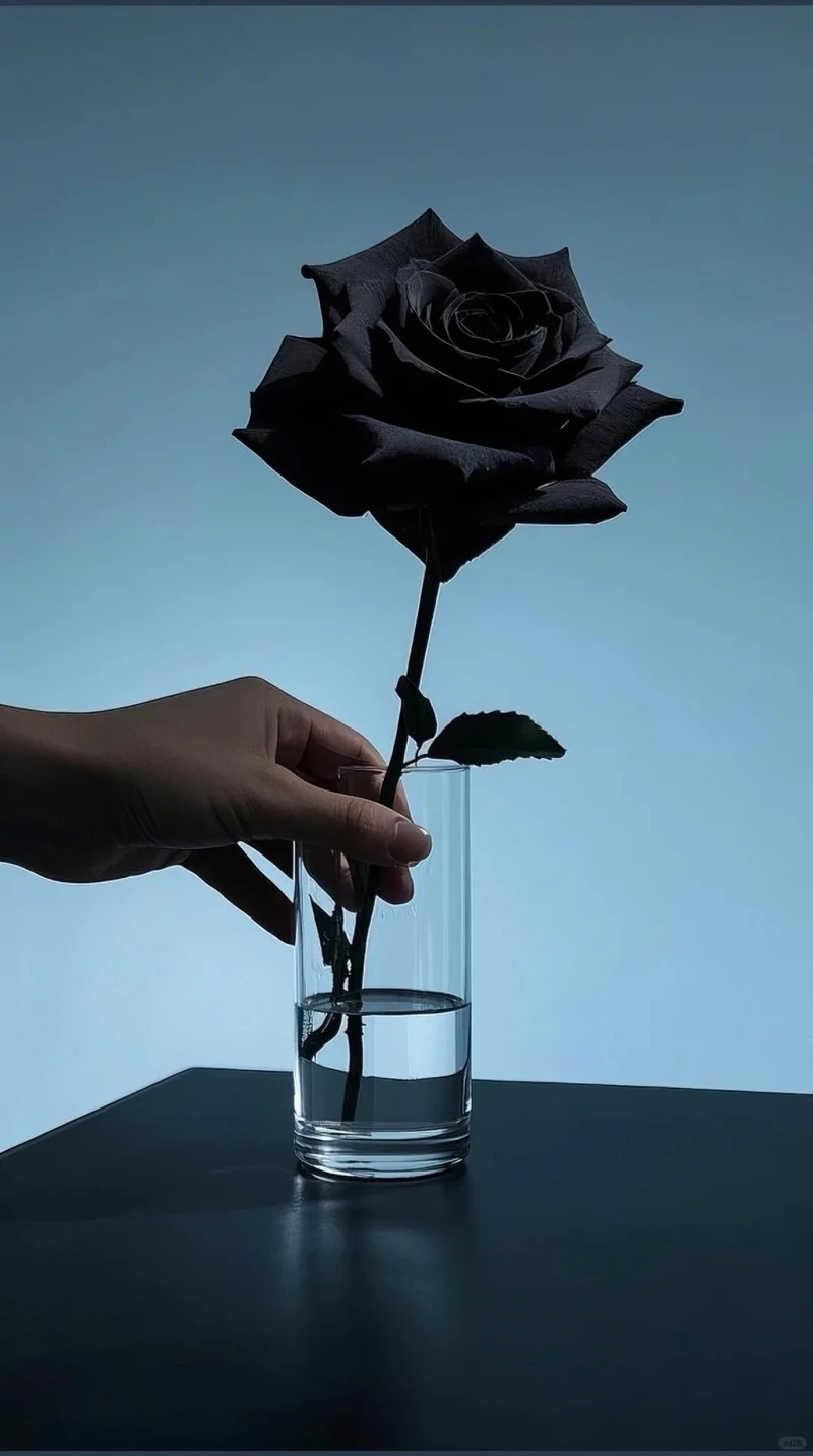 Trải nghiệm hình ảnh siêu nét với avatar hoa hồng đen 4k