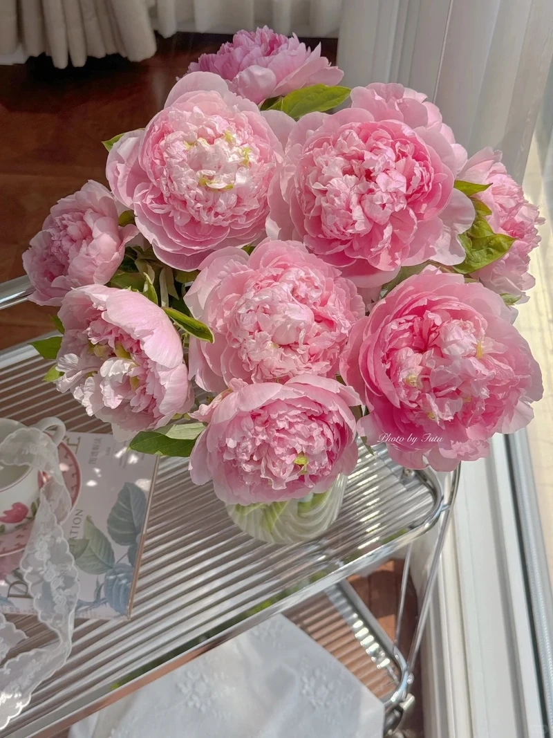 Gợi ý cực xinh với avatar hoa mẫu đơn làm ảnh đại diện