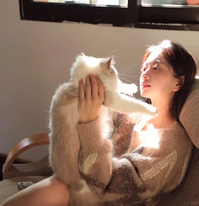 Ánh nắng dịu dàng trong bộ ảnh gái xinh bên mèo ánh nắng