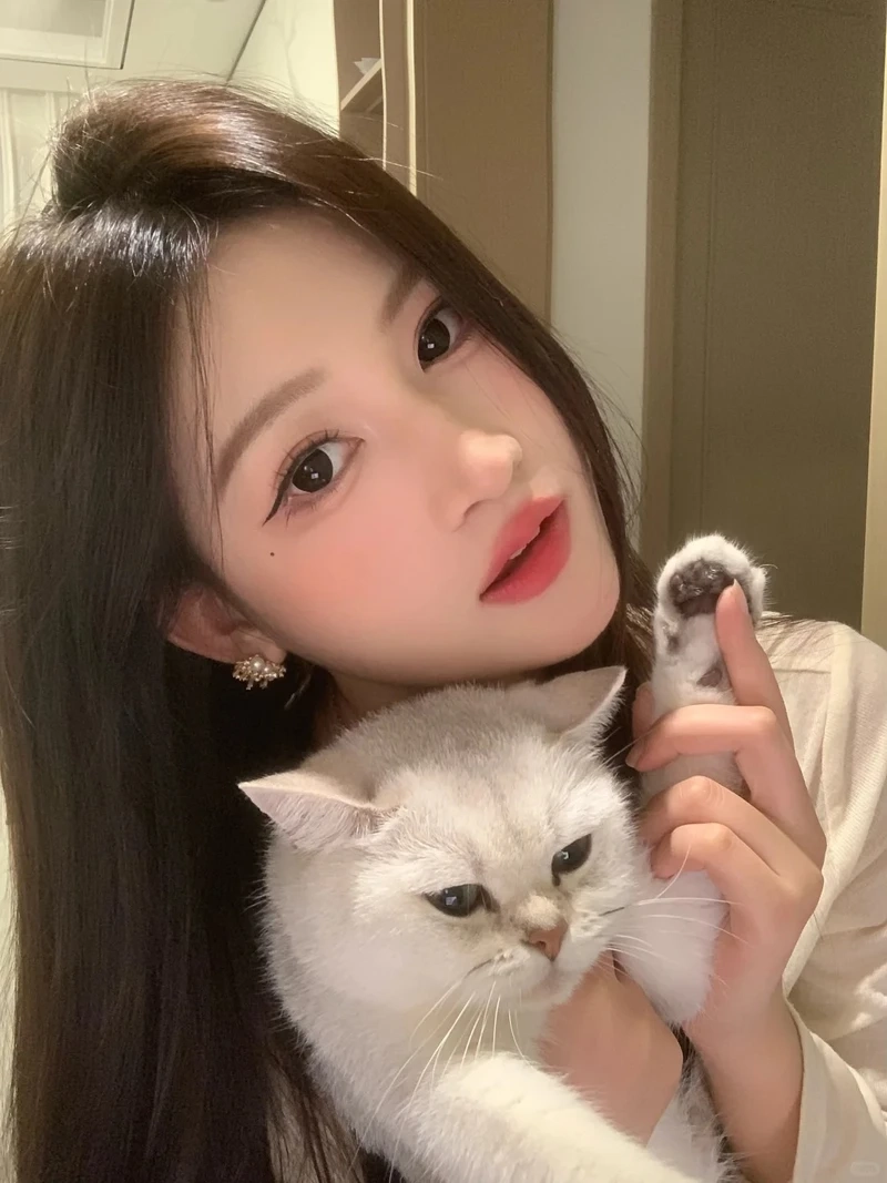 Bộ ảnh cực viral của gái xinh bên mèo cute phô mai que