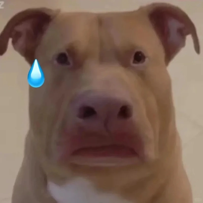 Meme đổ mồ hôi viral đang lan truyền mạnh trên internet