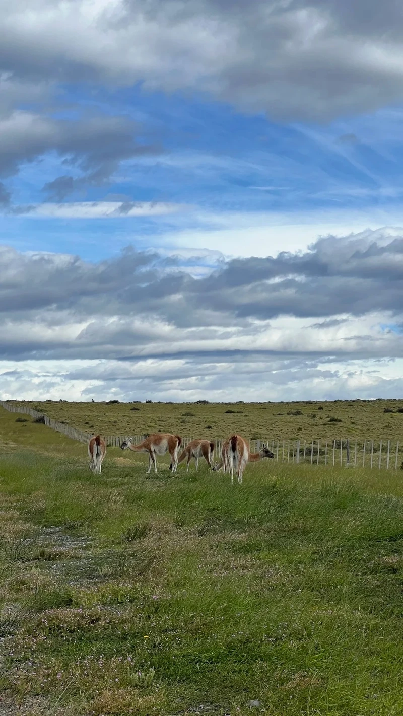 Chiêm ngưỡng vẻ hùng tráng của phong cảnh Chile núi non tuyệt đẹp