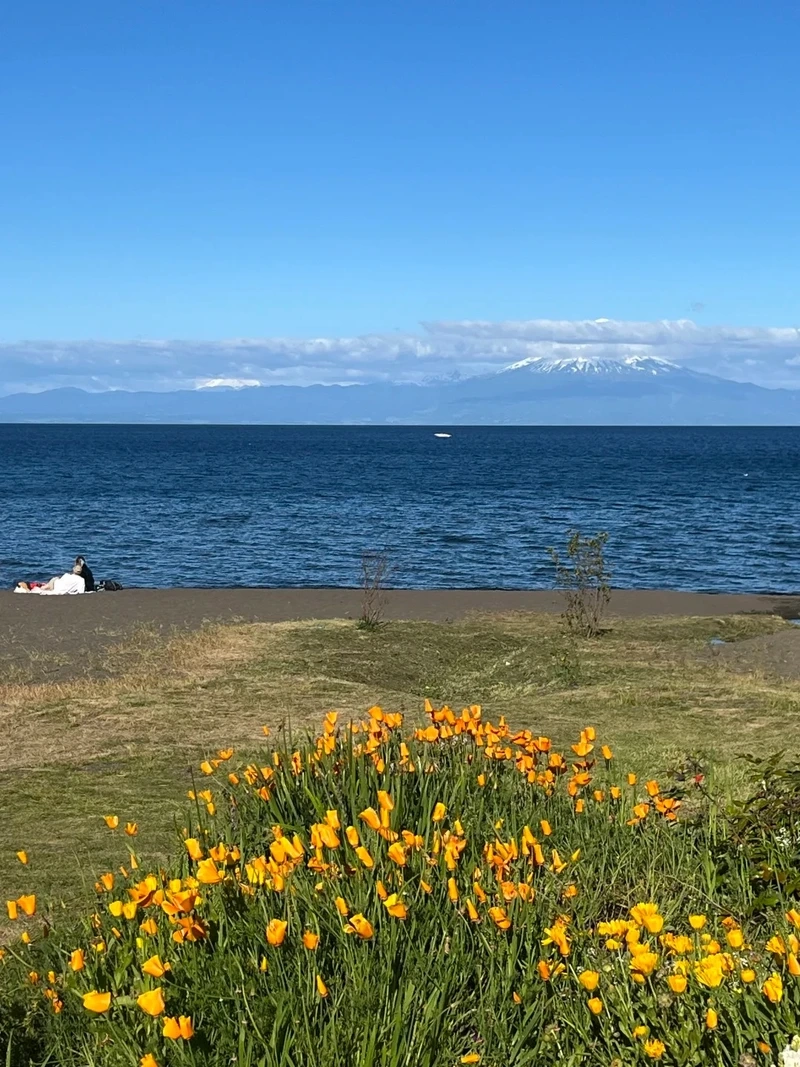 Chiêm ngưỡng vẻ đẹp ngoạn mục của phong cảnh Chile cảnh đẹp thiên nhiên