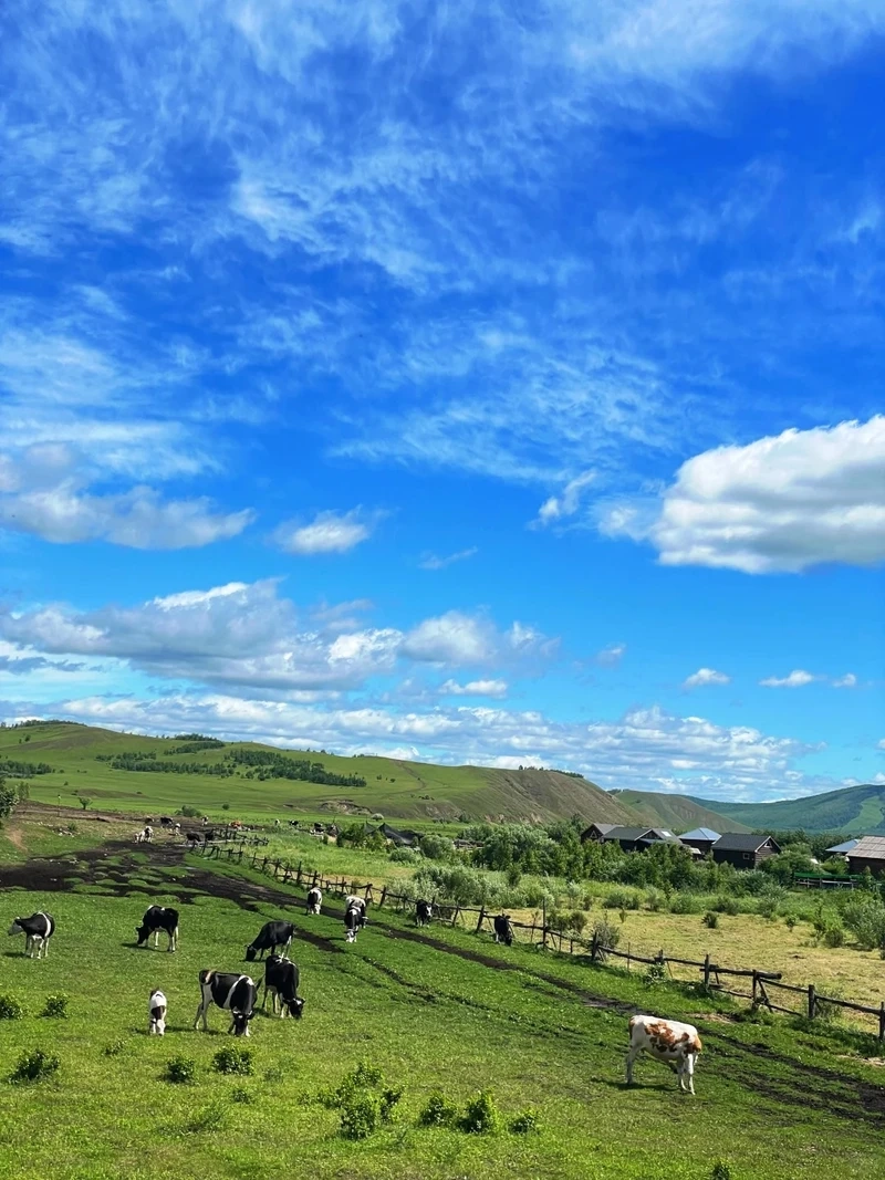 Đắm mình giữa đồng cỏ xanh của phong cảnh thảo nguyên Mông Cổ