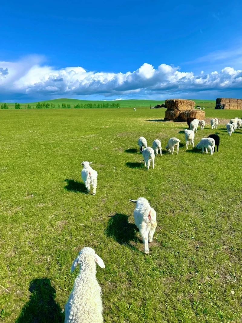 Chiêm ngưỡng vẻ hùng vĩ của phong cảnh Mông Cổ núi non